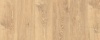 Oak Vermont 9531