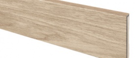 H013