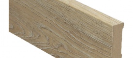 27208 Plint Scarlet Oak Nature