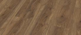 Ambiant Robusto Click - Warm Brown Click