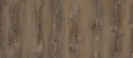Warm Brown 1853