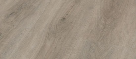 Robusto Light Grey