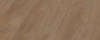 Dark Oak
