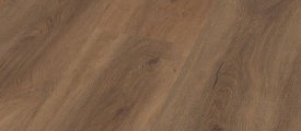 Warm Brown