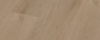 Dark Oak 6811.7511.19