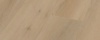 Beige 2824
