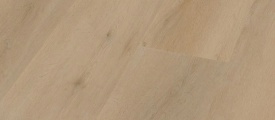 Beige 2824
