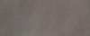 Grey 1881