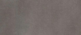 Grey 1881