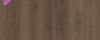 Warm Brown 1913