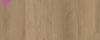 Warm Oak 2911