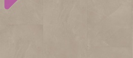 Warm Beige