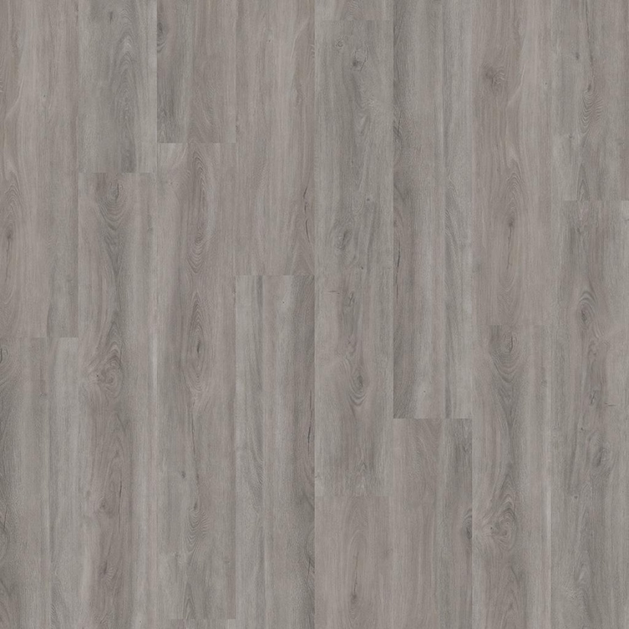 Ambiant Robusto Click - Grey Oak