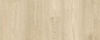 Drenthe Borgen plak PVC