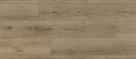 Coretec Regina 50-LVRE-139