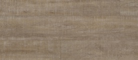 Coretec Wood XL - Harbor Oak