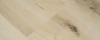 FLR-3717 Hondsrug Creme