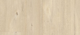 F093 Parmesan