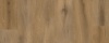 Natural Oak 4102