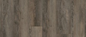 City Olympia Pine Brown 4605