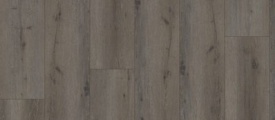City Register Forest Oak Misty Grey 8203