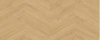 Desert 3702