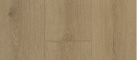 Firmfit 6501
