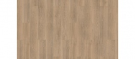 Rhone 73019