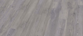 81014 Mflor Sylvian