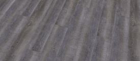 Mflor Woburn Woods - Macclesfield Pine