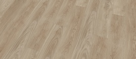 Mflor Woburn Woods - Bedgubery Oak
