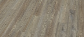 Mflor Conference Pine - Humber