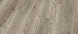 81611 Mflor Miglio
