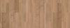 41822 Mflor Pure Sycamore Broad Leaf