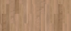 41822 Mflor Pure Sycamore Broad Leaf