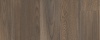 Mexican Ash 20875