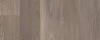 Mexican Ash 20965
