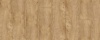 Moduleo Transform Country Oak 24432 PVC kopen voor de beste prijs inclusief egaliseren en leggen.