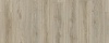 Blackjack Oak 22246