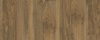 English Walnut 20565