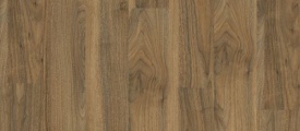 English Walnut 20565
