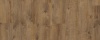 Galway Oak 87832