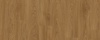 Laurel Oak 51822