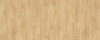 Laurel Oak 51332
