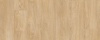 Laurel Oak 51282