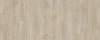 Laurel oak 51222