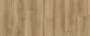 Classic Oak 24837