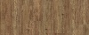 Latin Pine 24874