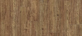 Moduleo Transform - Latin Pine 24874