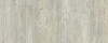 Latin Pine 24242